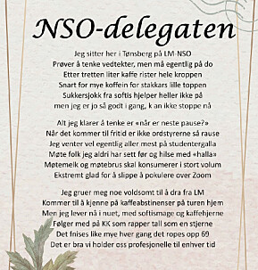 «Markus med K» har laget et dikt om hvordan det er å være på NSO-landsmøtet «Markus med K» har laget et dikt om hvordan det er å være på NSO-landsmøtet