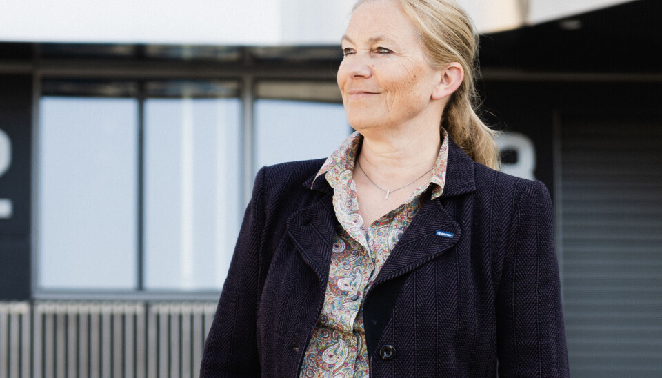 Så det er positivt om det er større mangfald enn i styret i Oslo Science City, seier Sintef-topp Alexandra Bech Gjørv.