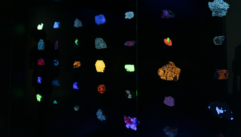 Mineraler under UV-lys i museets kjeller.