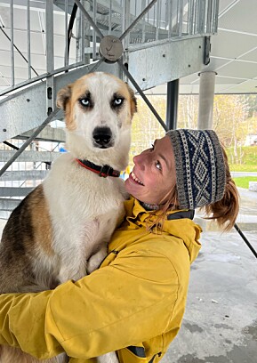 Føyke er fersk mamma til seks kvalpar. På instagramkontoen «potefarerne» viser matmor Opal Mariell Solrunnsdatter fram livet med huskey. Føyke er fersk mamma til seks kvalpar. På instagramkontoen «potefarerne» viser matmor Opal Mariell Solrunnsdatter fram livet med huskey.
