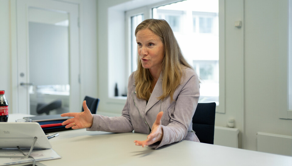 Mari Sundli Tveit, direktør i Norges forskningsråd.