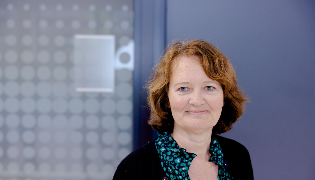 Ingvild Marheim Larsen er viserektor ved Universitetet i Sørøst-Norgfe og leder det regjeringsoppnevnte ekspertutvalget som skal vurdere kravene for å bli universitet.O Ingvild Marheim Larsen er viserektor ved Universitetet i Sørøst-Norgfe og leder det regjeringsoppnevnte ekspertutvalget som skal vurdere kravene for å bli universitet.O