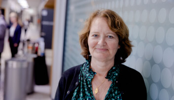 Ingvild Marheim Larsen, viserektor for utdanning ved USN Ingvild Marheim Larsen, viserektor for utdanning ved USN