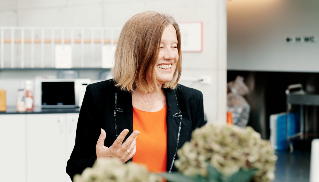 Først handlet det bare om høgskolers rett til å få doktorgrader, forteller Anne Selnes, om kampen for å få et universitet til Stavanger. . Uten doktorgradsrett, ikke noe universitet. Først handlet det bare om høgskolers rett til å få doktorgrader, forteller Anne Selnes, om kampen for å få et universitet til Stavanger. . Uten doktorgradsrett, ikke noe universitet.