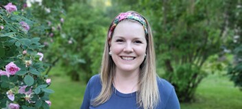— Forskarar bør forske, ikkje skrive søknader om å få forske, seier Katrine Holter