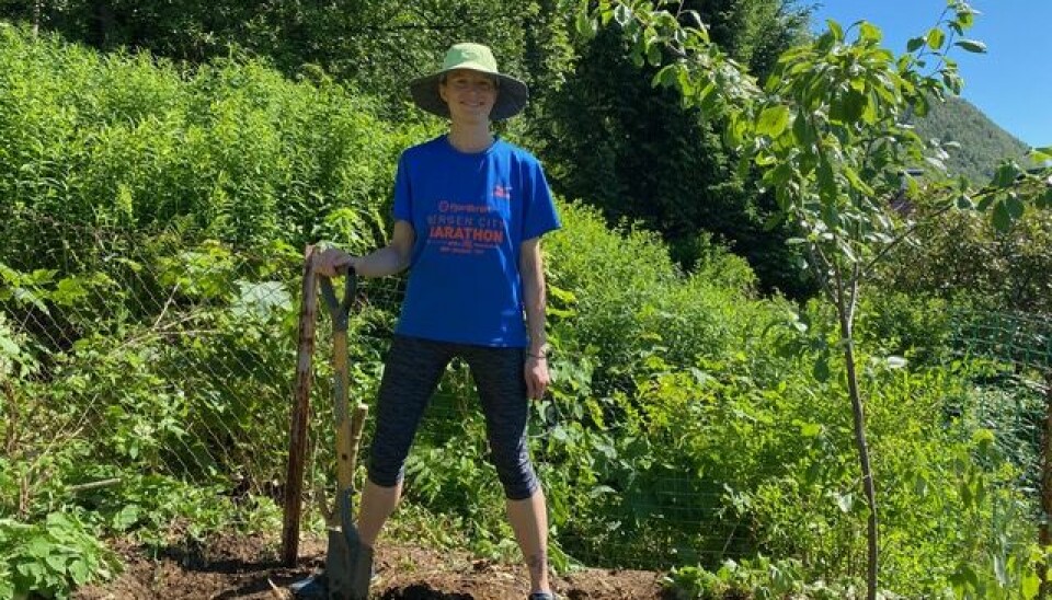 Laura Saetveit Miles tek ein pause frå artikkelskriving. Her plantar ho nye plomme- og kirsebærtre i hagen på Landås i Bergen.