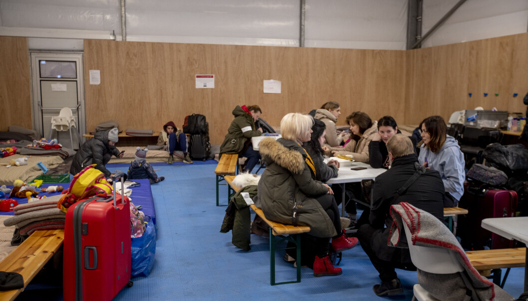 Foreløpig er ganske få av de 1000 nye studieplassene som er tiltenkt ukrainske flyktninger fylt opp. Her fra det nasjonale mottakssenteret. Universitetsledere etterlyser bedre kartlegging før flyktningene blir plassert ut i landet. Foreløpig er ganske få av de 1000 nye studieplassene som er tiltenkt ukrainske flyktninger fylt opp. Her fra det nasjonale mottakssenteret. Universitetsledere etterlyser bedre kartlegging før flyktningene blir plassert ut i landet.
