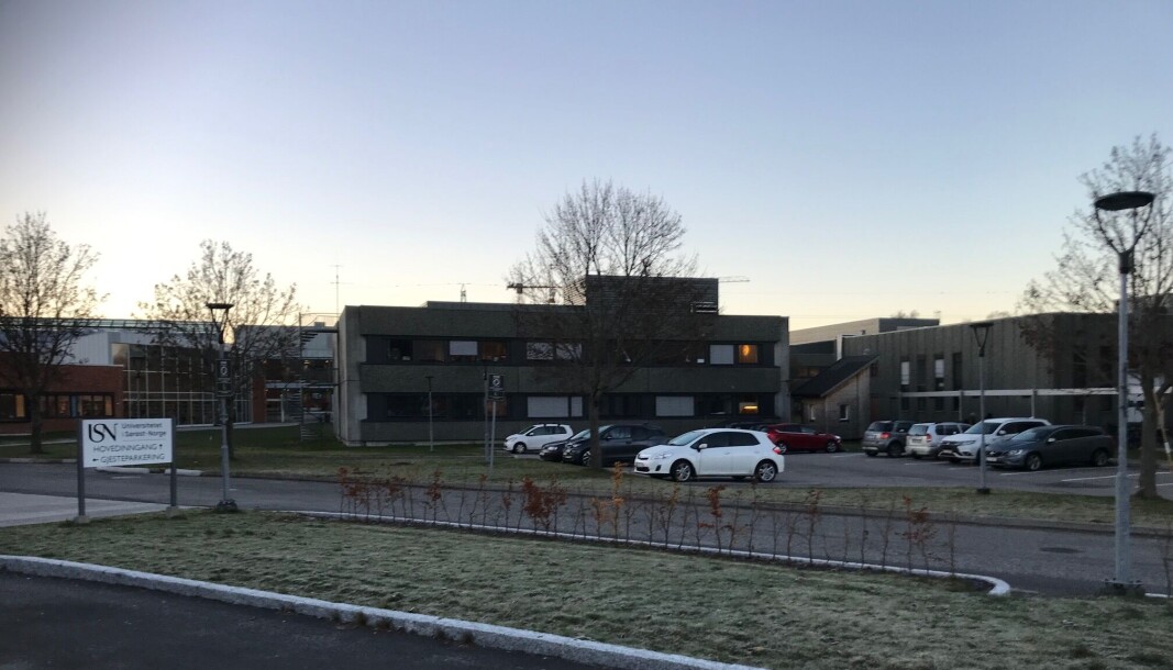 Hilde Larsen Damsgaard er dosent her ved campus Porsgrunn. Totalt har forskergruppen fått inn over 270 svar. Hilde Larsen Damsgaard er dosent her ved campus Porsgrunn. Totalt har forskergruppen fått inn over 270 svar.