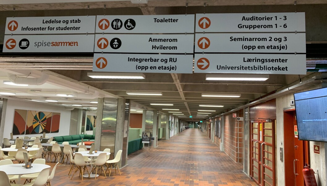 Skilt på bokmål i Realfagbygget, slik retningslinjene tilseier. Språkpolitisk utval meiner at det bør vera meir skilting på nynorsk ved Universitetet i Bergen. Skilt på bokmål i Realfagbygget, slik retningslinjene tilseier. Språkpolitisk utval meiner at det bør vera meir skilting på nynorsk ved Universitetet i Bergen.