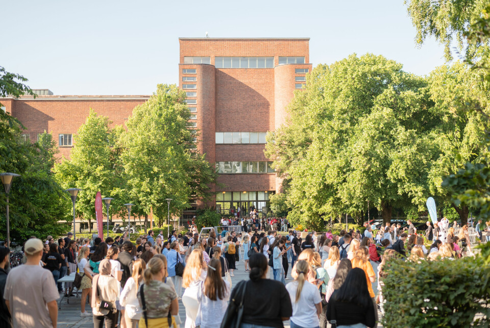 UiO: Nye studenter og faddere var på plass ved åpningen av studieåret 2022/2023. For anledningen i gnistrende solskinn. Foto: Maylinn Hovengen Byrknes/UiO