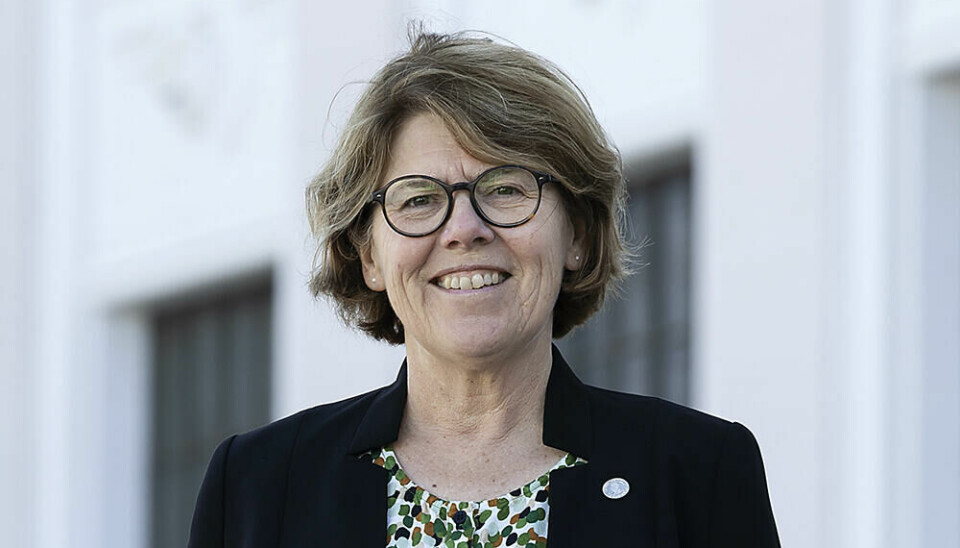Museumsdirektør Kari Loe Hjelle ved UiB