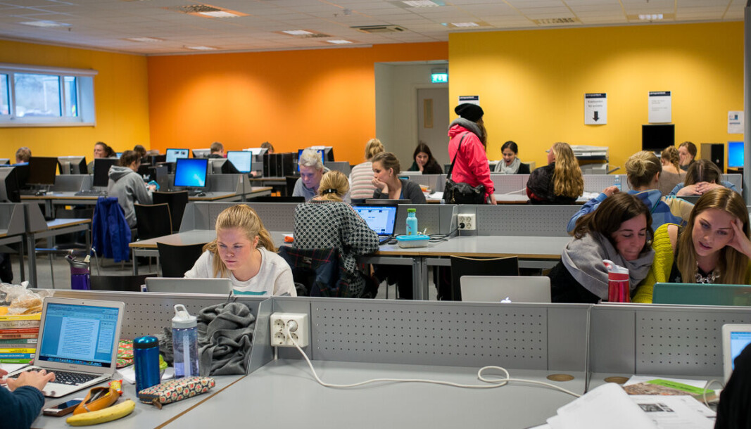 Ferske studenter må ha studieferdigheter. Det er tungt å oppdage at hen ikke har grunnlag som skal til for å mestre høyere utdanning, som ofte er teoritungt, skriver Lise Lyngsnes. Ferske studenter må ha studieferdigheter. Det er tungt å oppdage at hen ikke har grunnlag som skal til for å mestre høyere utdanning, som ofte er teoritungt, skriver Lise Lyngsnes.