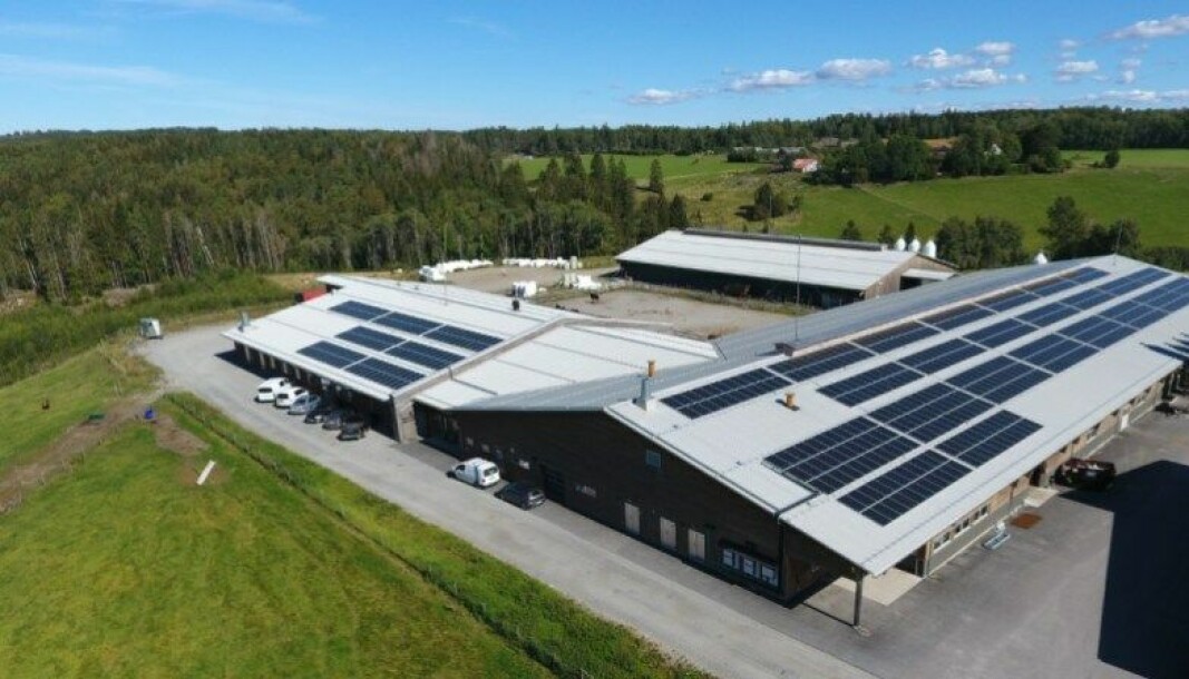 I 2020 ble solcelleanlegget på NMBUs forsøksgård åpnet .NMBU er ett av flere universiteter som satser på solceller.