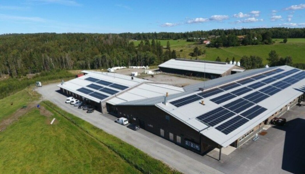 I 2020 ble solcelleanlegget på NMBUs forsøksgård åpnet .NMBU er ett av flere universiteter som satser på solceller. I 2020 ble solcelleanlegget på NMBUs forsøksgård åpnet .NMBU er ett av flere universiteter som satser på solceller.