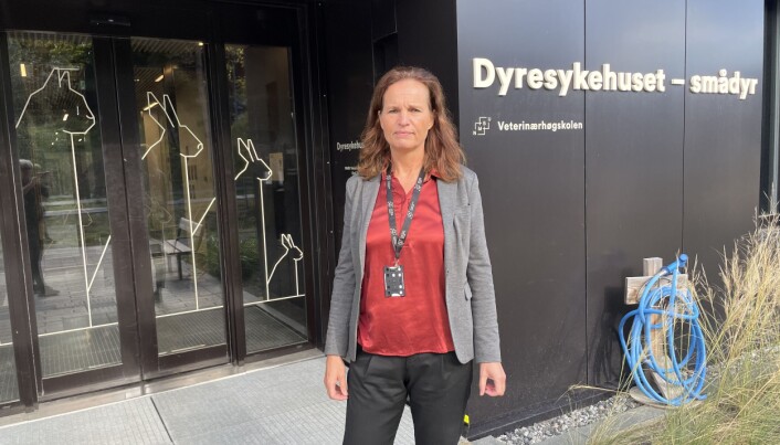 Anne Storset fortalte om økonomiske utfordringer ved dyresykehuset ved NMBU. Anne Storset fortalte om økonomiske utfordringer ved dyresykehuset ved NMBU.