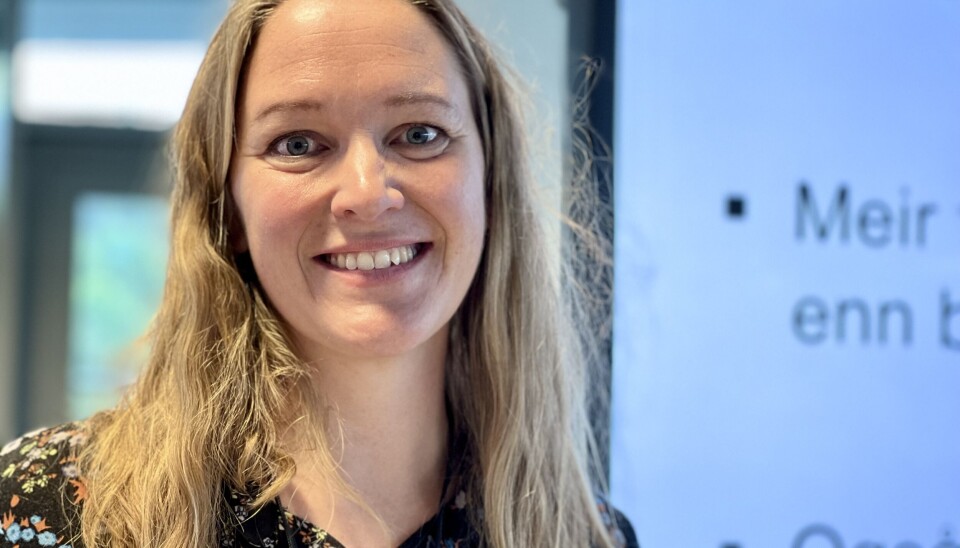 Runa Brandal Myklebust fortalte at forskerne vet mer om kvinner som velger utradisjonelt enn om menn.