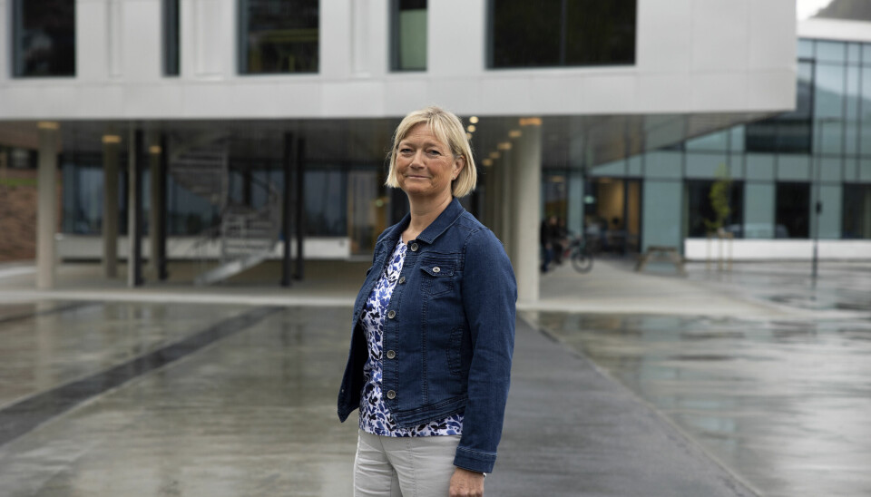 Ann Kristin Emblem er direktør ved Høgskulen i Volda. Hun mener dialogen med Arbeidstilsynet har vært positiv.