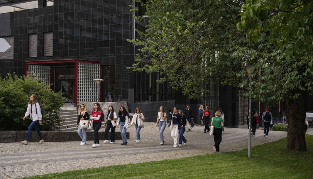 Det er fristende å sette unge mennesker på store oppgaver man selv ikke har klart å løse, men det er ikke det ph.d.-studentene er til for, skriver Per Arne Bjørkum. Det er fristende å sette unge mennesker på store oppgaver man selv ikke har klart å løse, men det er ikke det ph.d.-studentene er til for, skriver Per Arne Bjørkum.