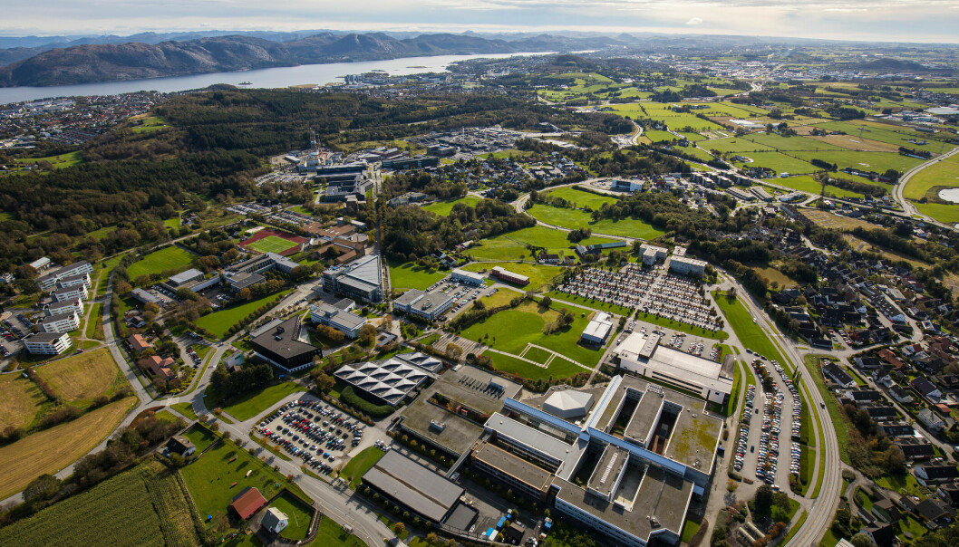 Urolige tider og dramatiske hendelser gjør at interessen for risikostyring og samfunnssikkerhet øker. Universitetet i Stavanger er størst i Norge på dette fagfeltet.