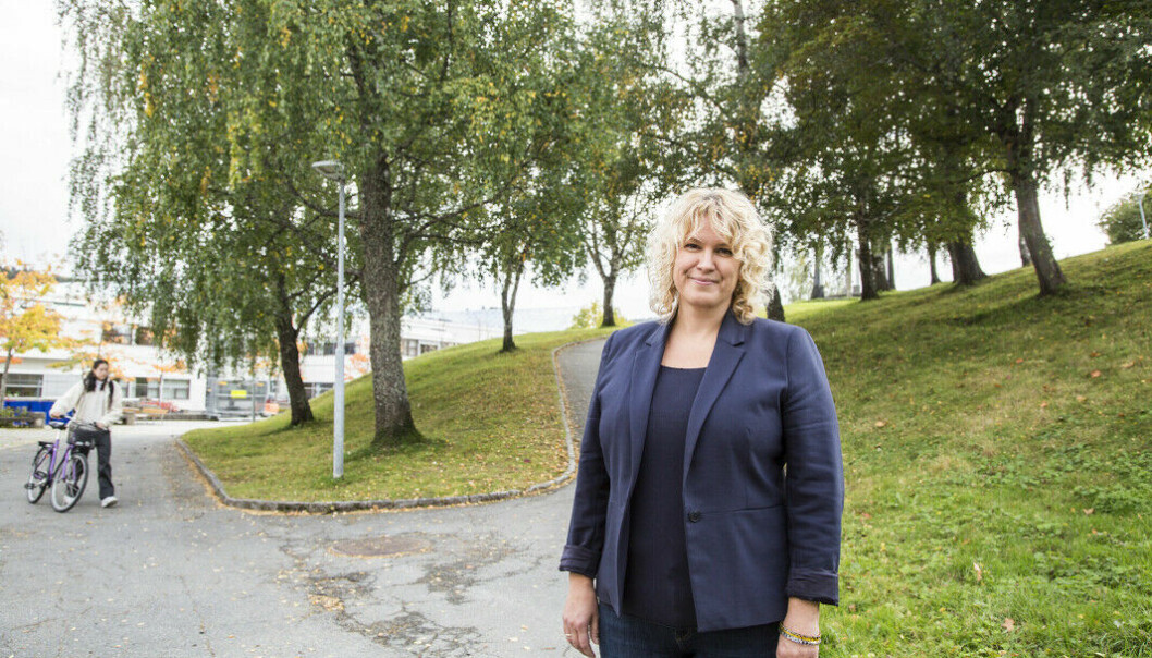 Vi er vant til at tallener svinger, sier Kjersti Faldet Listhaug, førsteamanuensis i fransk språkvitenskap ved institutt for språk og litteratur og prodekan for utdanning ved det humanistiske fakultet på NTNU Vi er vant til at tallener svinger, sier Kjersti Faldet Listhaug, førsteamanuensis i fransk språkvitenskap ved institutt for språk og litteratur og prodekan for utdanning ved det humanistiske fakultet på NTNU