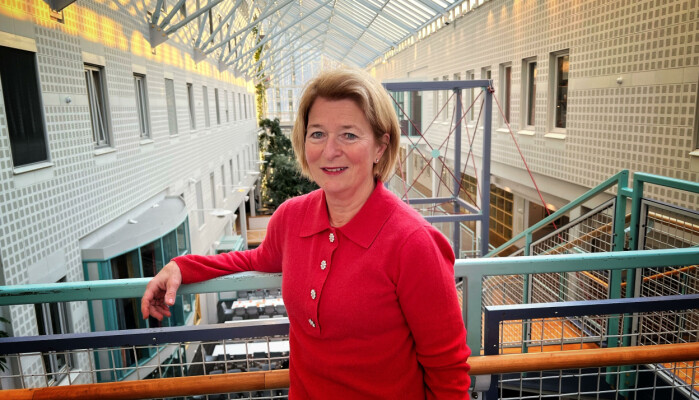 Tidligere rektor ved UiT, Anne Husebekk, har fått jobben med å hjelpe det nye rektoratet med arktiske spørsmål.
