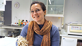 Lena van Giesen, NTNU. Lena van Giesen, NTNU.