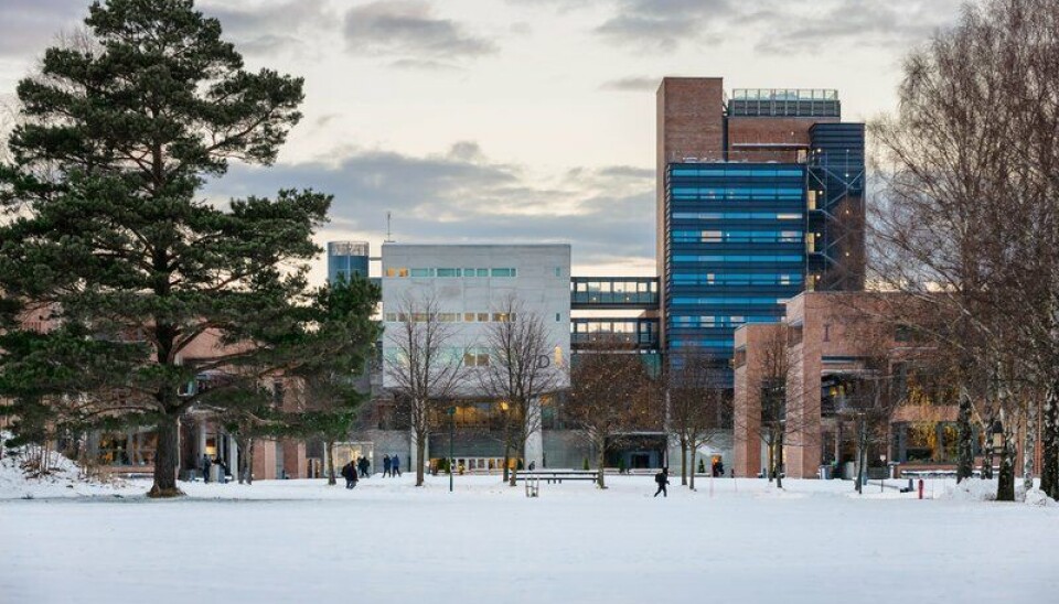 Styret ved Universitetet i Agder har møte her på campus i Kristiansand onsdag 23. november.