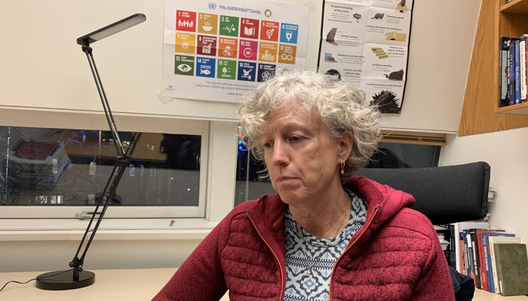 — Han var muligens ute etter å lage et nettverk som enten han eller andre kunne bruke til å bygge opp en type femtekolonne, sier professor Gunhild Hoogensen Gjørv ved UiT om mannen som hun ble mentor for og som nå er fengslet for spionasje. — Han var muligens ute etter å lage et nettverk som enten han eller andre kunne bruke til å bygge opp en type femtekolonne, sier professor Gunhild Hoogensen Gjørv ved UiT om mannen som hun ble mentor for og som nå er fengslet for spionasje.