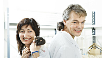 May-Britt og Edvard Moser i 2014, det året de vant nobelprisen i medisin. May-Britt og Edvard Moser i 2014, det året de vant nobelprisen i medisin.
