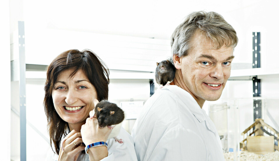 May-Britt og Edvard Moser i 2014, det året de vant nobelprisen i medisin.