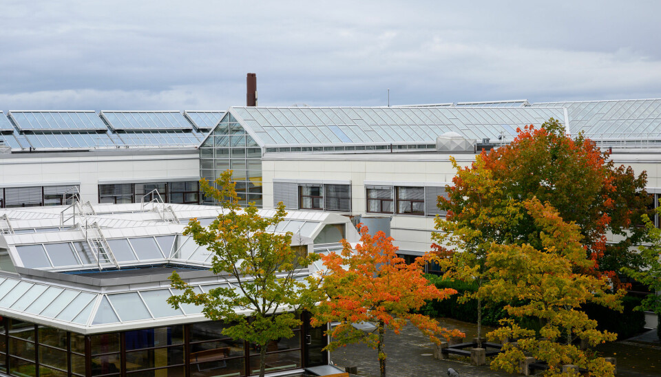 Institutt for filosofi og religionsvitenskap holder til ved Det humanistiske fakultet på Dragvoll.