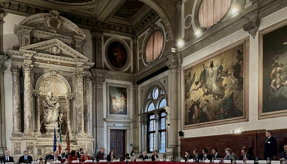 Medlemmene av Veneziakommisjonen møtes i Scuola Grande di San Rocco i Venezia. Arbeidsspråkene er engelsk og fransk.