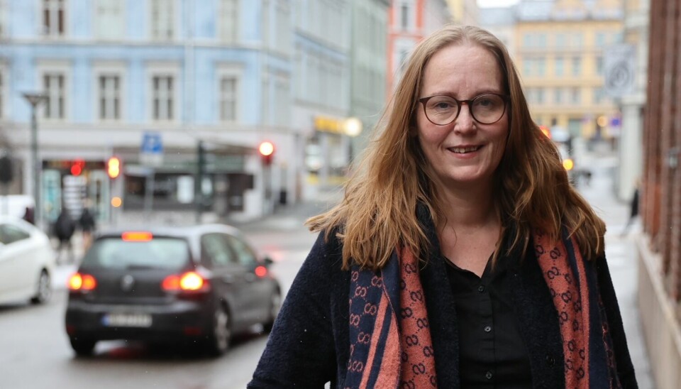 Lise Selnes fra Arbeiderpartiet er bekymret for den økonomiske situasjonen for studentene, spesielt etter denne ukes prishopp på matvarer.