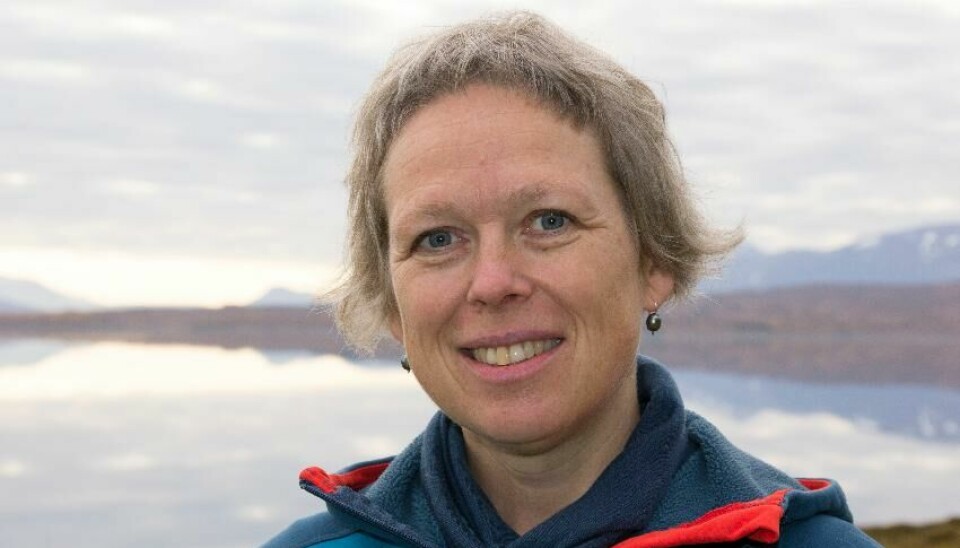 Professor Marit Reigstad UiT Norges arktiske universitet