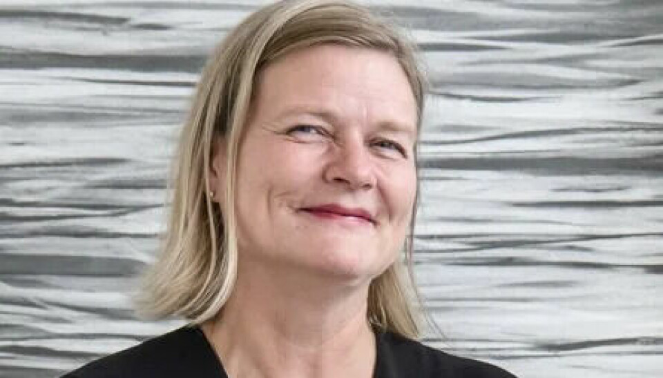 Marianne Skjulhaug blir KHiOs neste rektor.