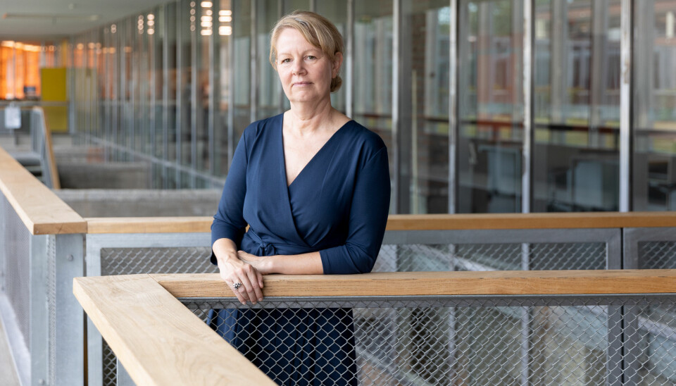 Rektor ved Arkitektur og designhøgskolen i Oslo, Irene Alma Lønne.