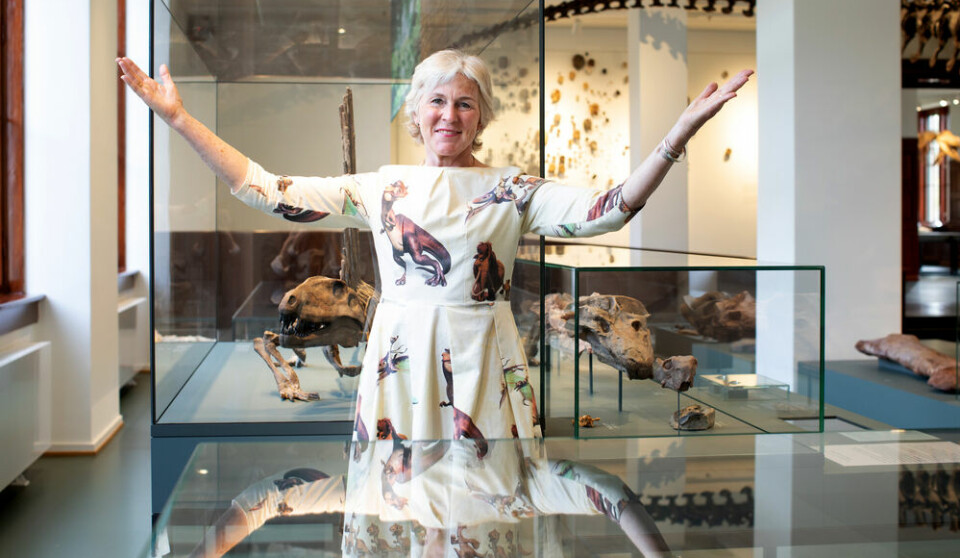 museumsdirektør Brit Lisa Skjelkvåle, Naturhistorisk museum
