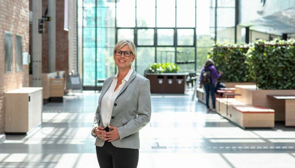 Viserektor ved Universitetet i Agder, Gøril Hannås, søker fire nye år i stillingen.