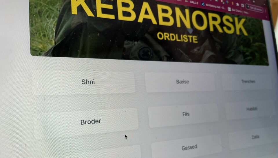 Et skjermbilde av en nettside med ord fra kebabnorsk.