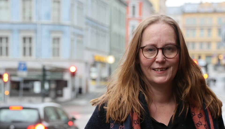 Lise Selnes, stortingsrepresentant for Arbeiderpartiet.