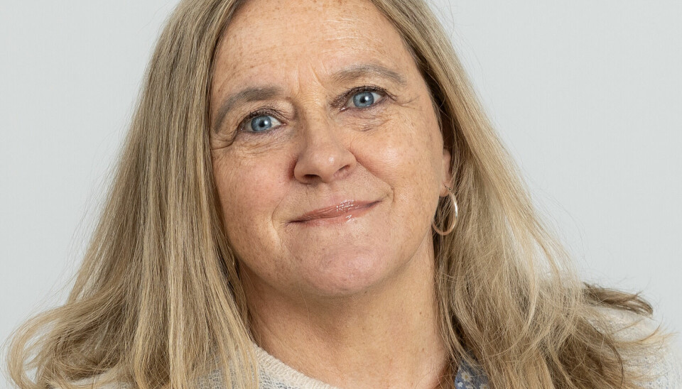 Lise Rakner er professor ved Universitetet i Bergen og økte antallet søkere til masterprogrammet Politics and Governance of Global Challenges.