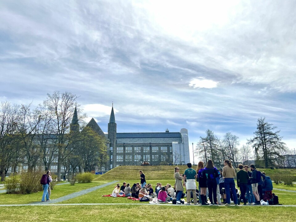 NTNU Hovedbygningen Høgskoleparken studenter griller mai 2023