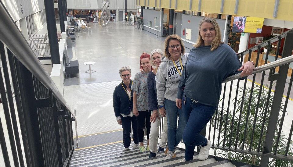På Kjeller treffer Khrono fra venstre Kari Anne Hakestad, Inga-Linn Nordby Hansen , Mona Elisabeth Meyer, Line Aasen og Janne Bakke fra den faglige staben på sykepleieinstituttet.