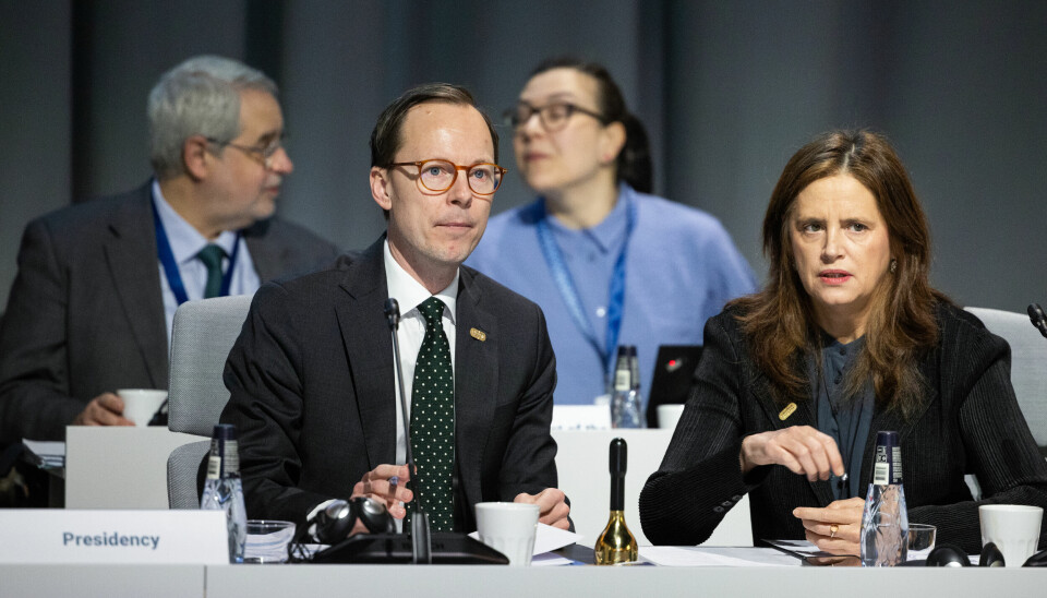 Den svenske utdanningsministeren Mats Persson, her under et møte i Brussel i februar, har fått både svenske rektorer og europeiske universiteter på nakken.