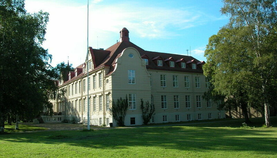 Dronning Mauds Minne Høgskole for barnehagelærerutdanning i Trondheim.