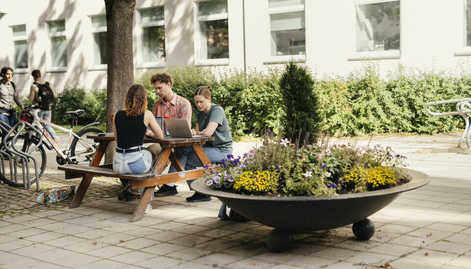 Tre studenter med PC på en benk