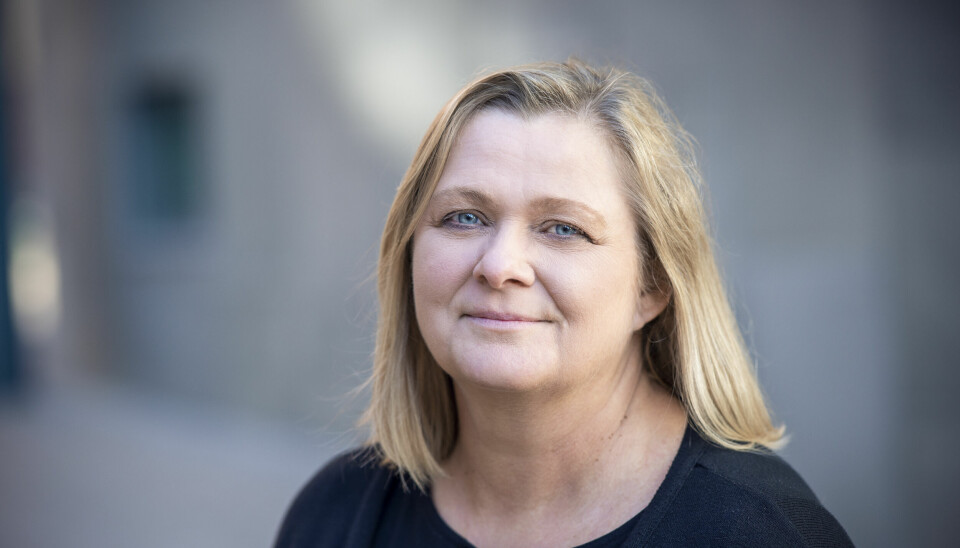 Professor Halla Bjørk Holmarsdottir ved Fakultet for lærerutdanning og internasjonale studier på OsloMet er en av initiativtakerne.