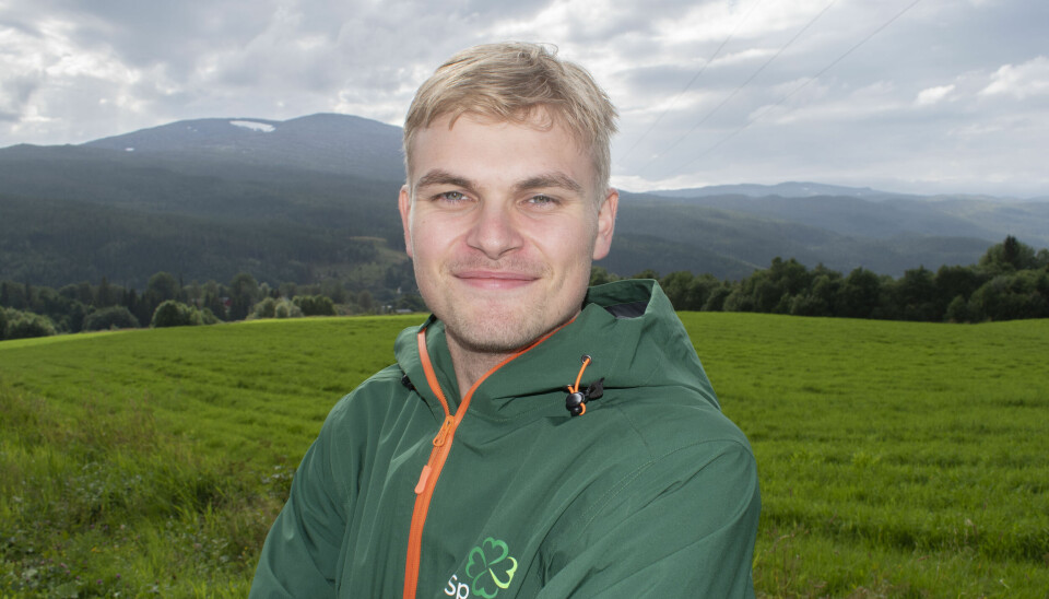 Nils Forren utdanner seg til lærer og stiller til valg for Senterpartiet i Heim kommune.