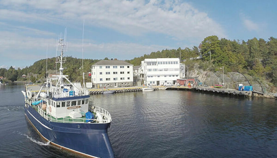 Forskningsstasjonen Flødevigen, Havforskningsinstituttet