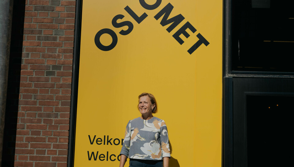 Styreledervervet ved OsloMet er Vibecke Hvervens første møte med et universitetsstyre.